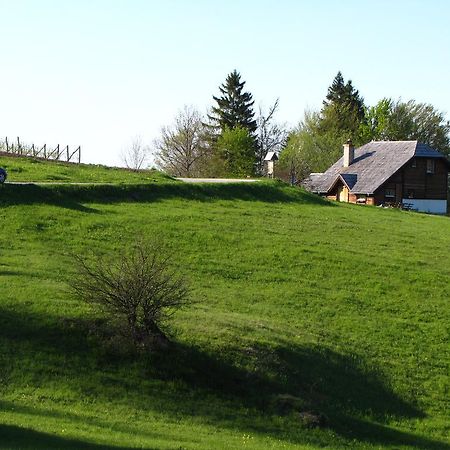 Guesthouse Nemanja Sljivovica  Exterior photo