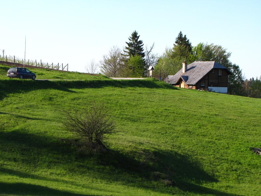 Guesthouse Nemanja Sljivovica  Exterior photo