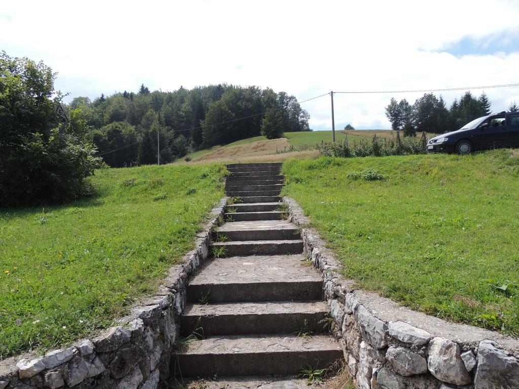 Guesthouse Nemanja Sljivovica  Exterior photo