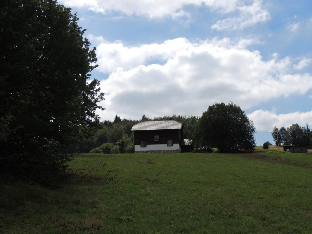 Guesthouse Nemanja Sljivovica  Exterior photo